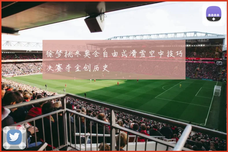 徐梦桃冬奥会自由式滑雪空中技巧决赛夺金创历史