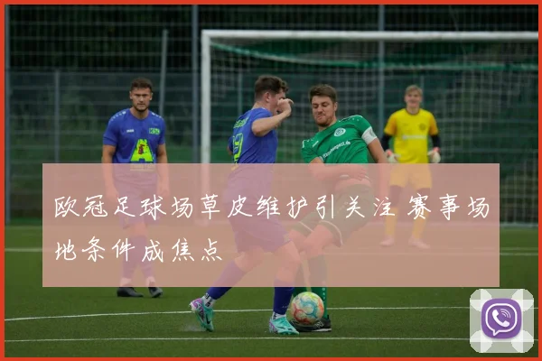 欧冠足球场草皮维护引关注 赛事场地条件成焦点