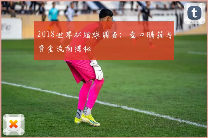 2018世界杯赌球调查:盘口暗箱与资金流向揭秘