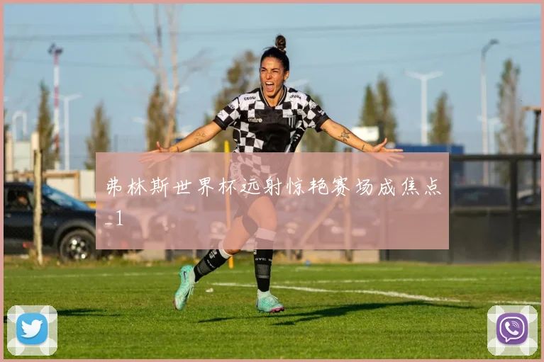 弗林斯世界杯远射惊艳赛场成焦点_1