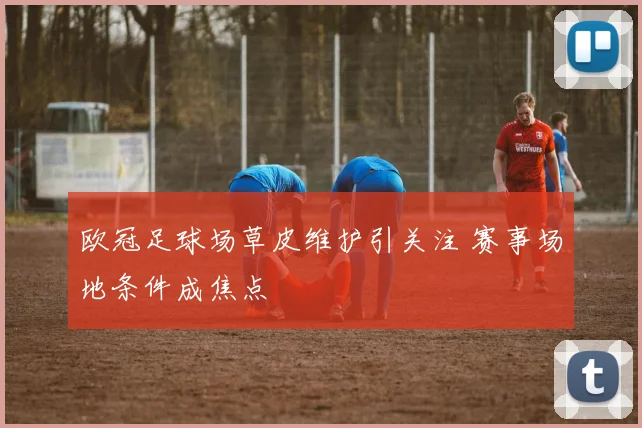 欧冠足球场草皮维护引关注 赛事场地条件成焦点