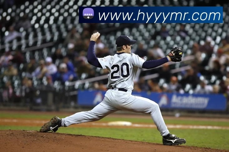 世界杯官网登录app平台生态图